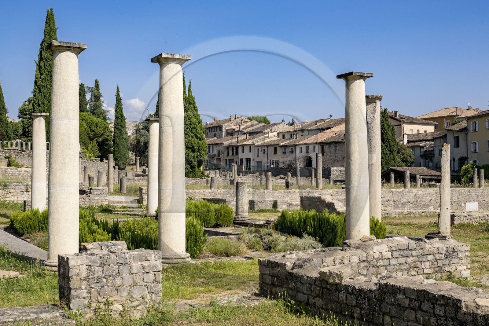 France, Vaucluse, Vaison la Romaine, Villasse archaeological site, remains of the House of the Dolphin