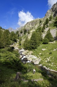 France, Alpes-Maritimes, parc national du Mercantour (Mercantour National Park), Valmasque river valley and peaks of high Valmasque, Alain Lanteri-Minet, guide and former park ranger