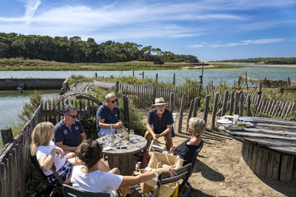 France, Vendée (85), Talmont Saint Hilaire, la Pointe du Payré, lunch with an oyster farmer in La Guittière port and the mouth of the Payré in the background