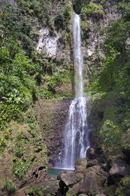 Caribbean, Dominica Island, Morne Trois Pitons National Park listed as World heritage by UNESCO, hiker at Middleham Falls on the Waitukubuli hiking trail that crosses the island