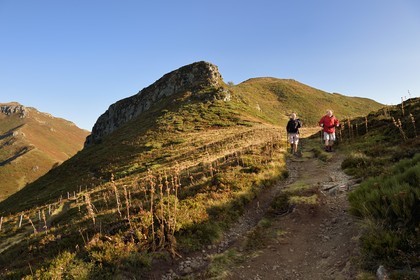 France, Cantal (15), Parc Naturel Régional des Volcans d'Auvergne, Le Lioran, col de Rombière, randonneurs sur le chemin de Saint-Jacques de Compostelle par la Via Arverna, le col de Cabre et le Puy Bataillouse en arrière plan