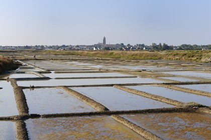 France, Loire-Atlantique (44), la Presqu'île de Guérande, les marais salants à Batz-sur-Mer