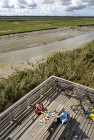 France, Loire-Atlantique (44), Lavau-sur-Loire, collection d'art contemporain à ciel ouvert Estuaire, l’Observatoire réalisé par l'artiste Tadashi Kawamata