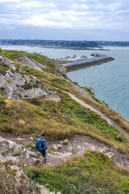 France, Côtes d'Armor (22), Côte de Penthièvre, Erquy, le port en arrière plan