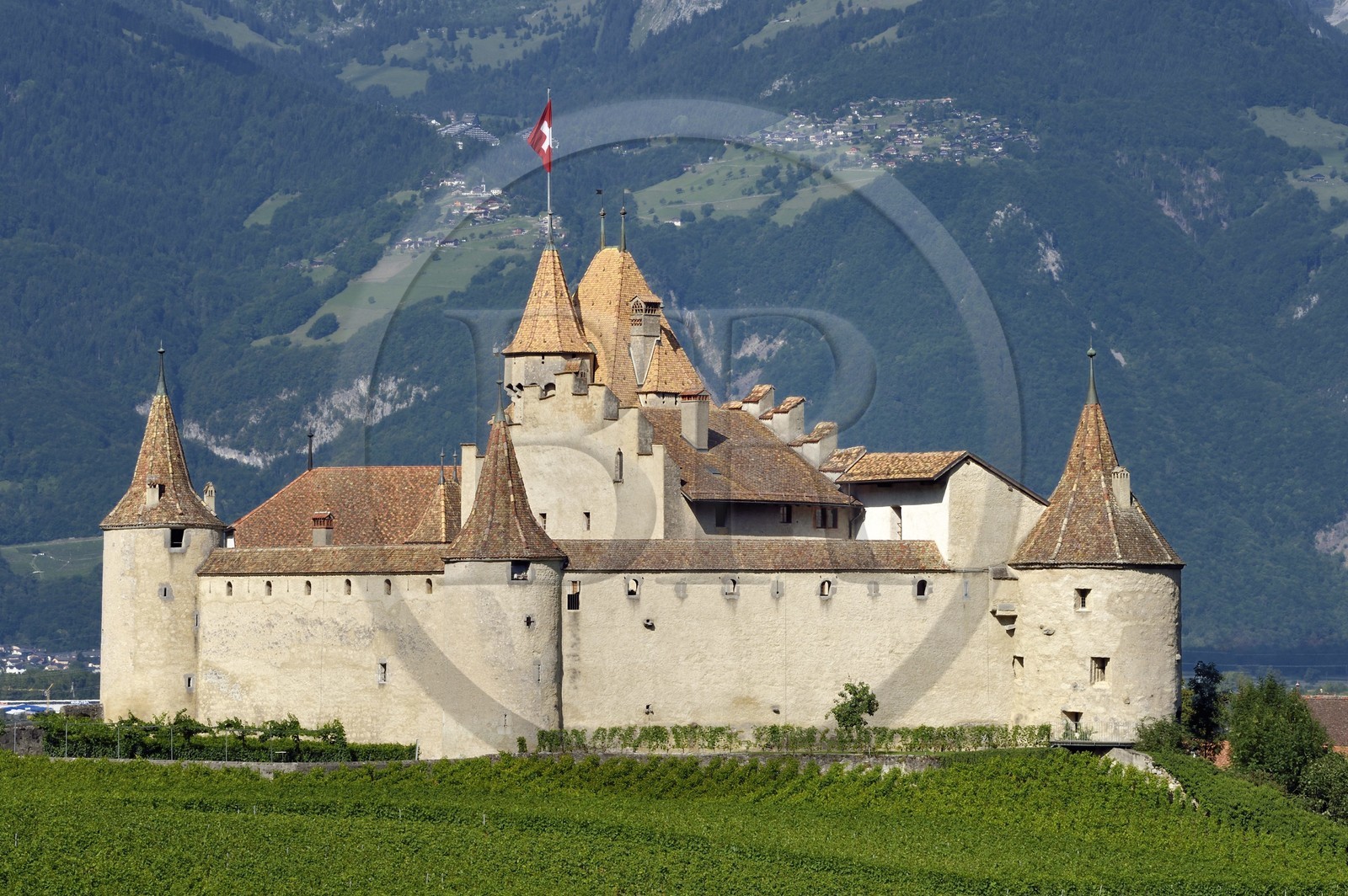 Suisse, Canton de Vaud, Aigle, le chateau entouré par le vignobles, il abrite le musée de la Vigne et du Vin