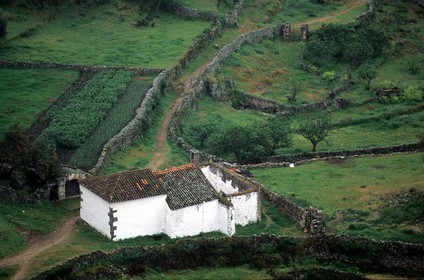 Spain, Estremadura, Montanchez, a small farm