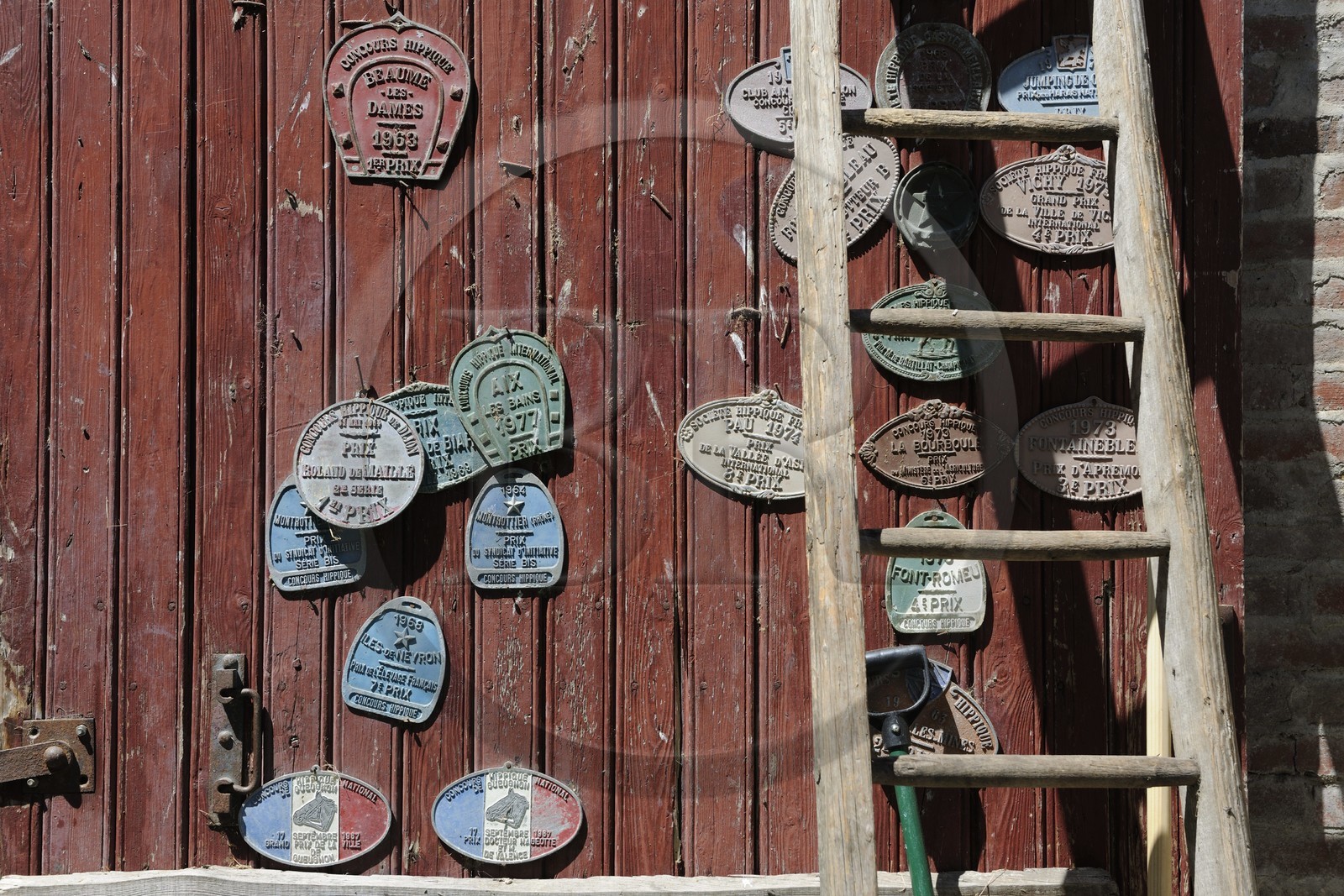 France, Saône et Loire (71), Cluny, l'élevage de Merzé, martinot.fr
