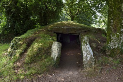 France, Finistère (29), parc naturel régional d'Armorique, Monts d'Arrée, Brennilis, le dolmen de Ti Ar Boudiged (la maison des fées)