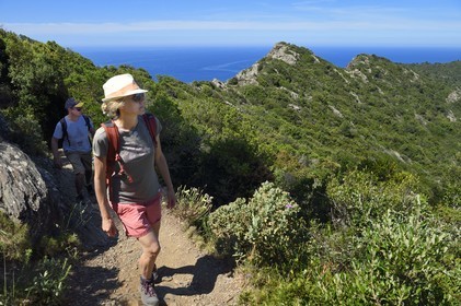 France, Var, Six Fours les Plages, hike in the Cap Sicie massif, hikers on the Roumagnan crest trail