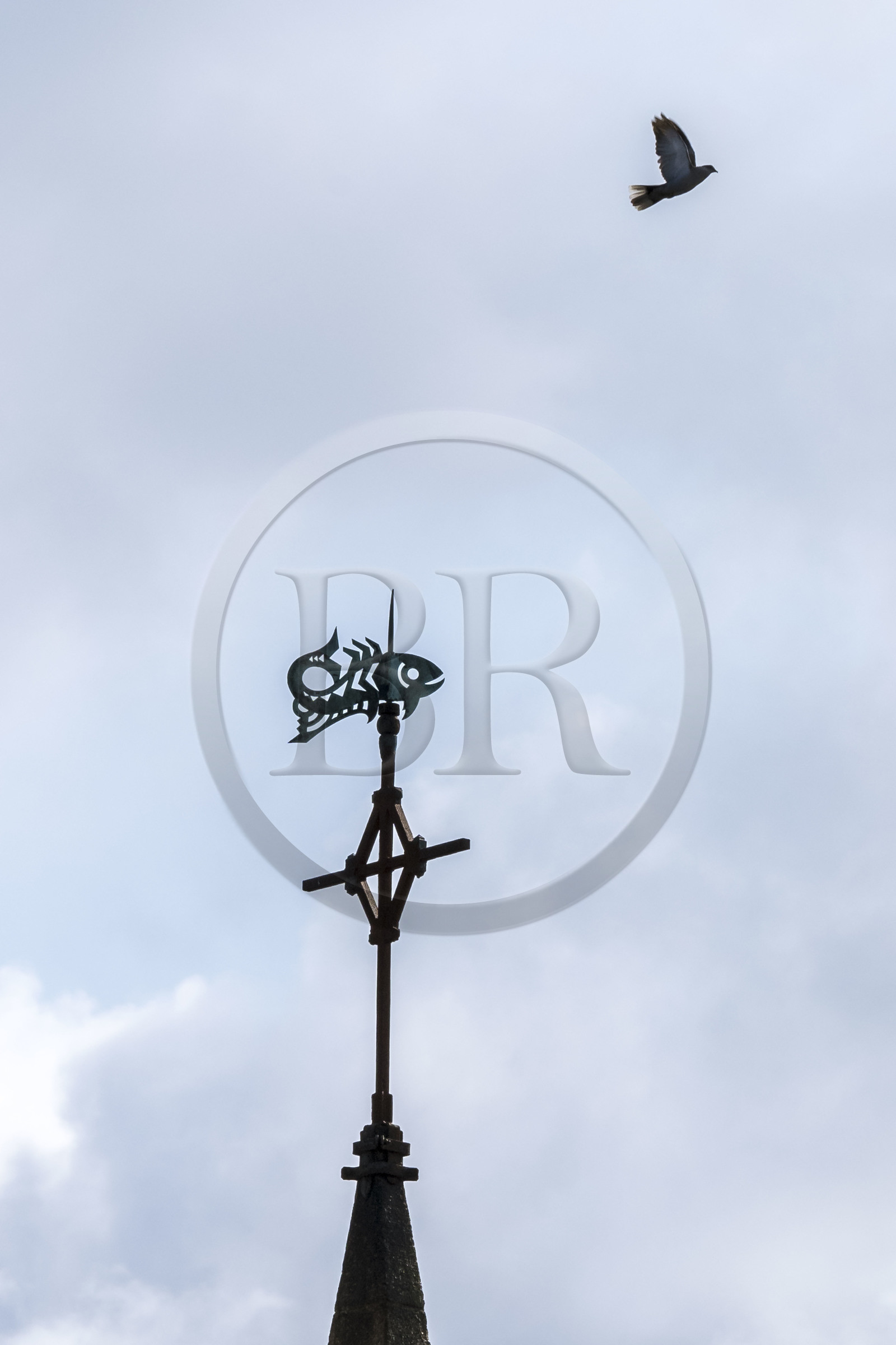 France, Côtes d'Armor (22), Ploubazlanec, Loguivy-de-la-Mer, girouette en forme de poisson au sommet du clocher de l'église