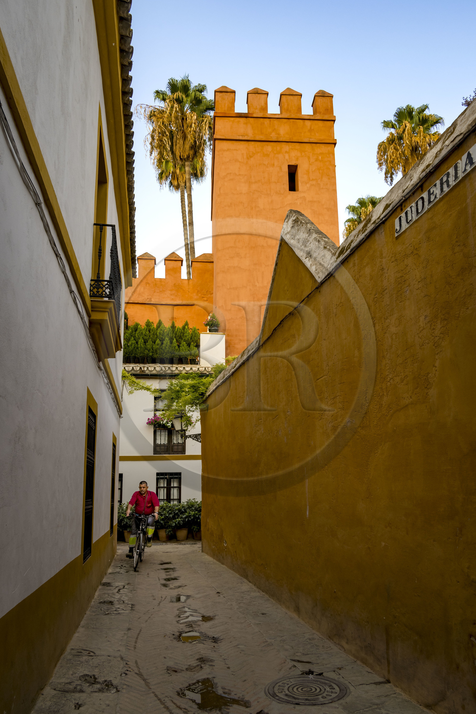 Espagne, Andalousie, Séville, ruelle de l'ancien quartier juif (Juderia) en bordure de l'Alcazar dans le quartier de Santa Cruz