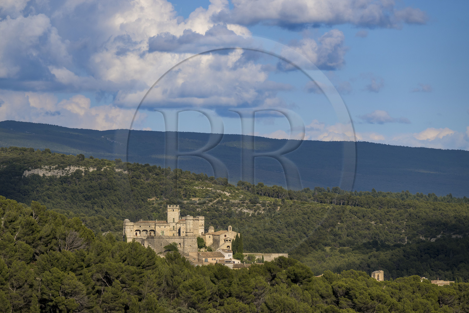 France, Vaucluse, Dentelles de Montmirail mountains, Le Barroux, the Barroux castle emerging from the forest in the background