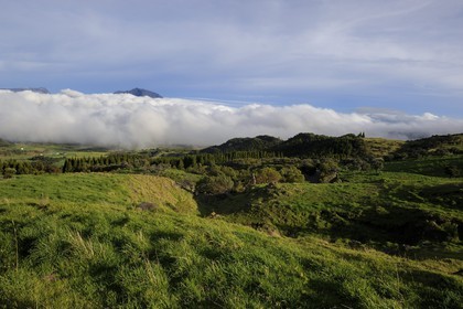 France, Reunion island (French overseas department), the Plaine des Cafres at the foot of the slopes of the volcano Piton de la Fournaise and former Piton des Neiges volcano in the background