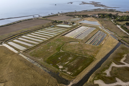 France, Charente Maritime, Port des Barques, Ile Madame, the Ile Madame Aquaculture Farm,