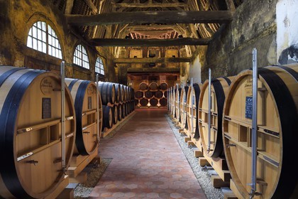 France, Calvados, Pays d'Auge, Le Breuil en Auge, Chateau du Breuil producer of Calvados AOC Pays d'Auge, barrels in aging cellars