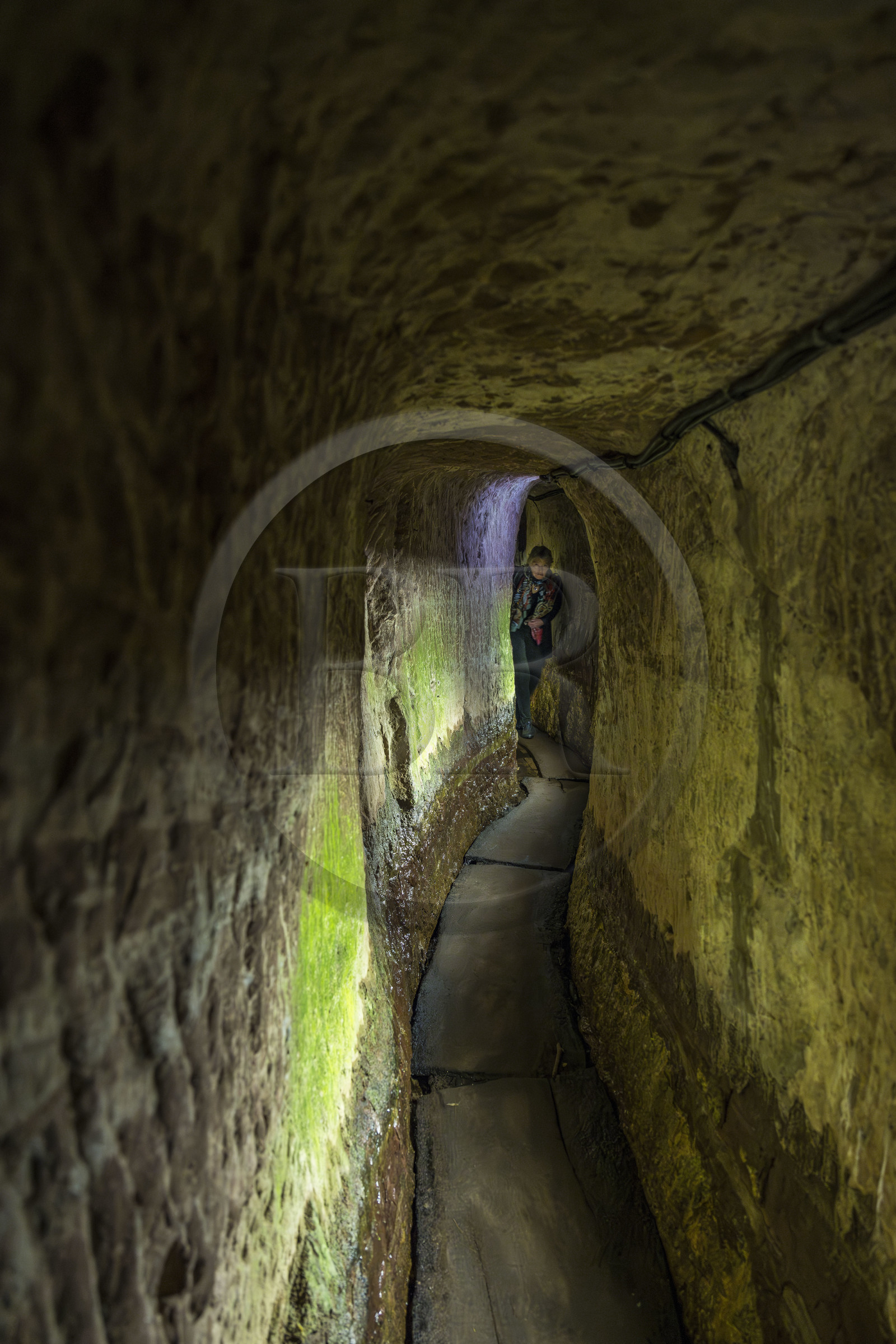 France, Bas-Rhin (67), Parc Naturel régional des Vosges du Nord, La Petite Pierre, chateau de Lutzelstein, souterrain menant au puits