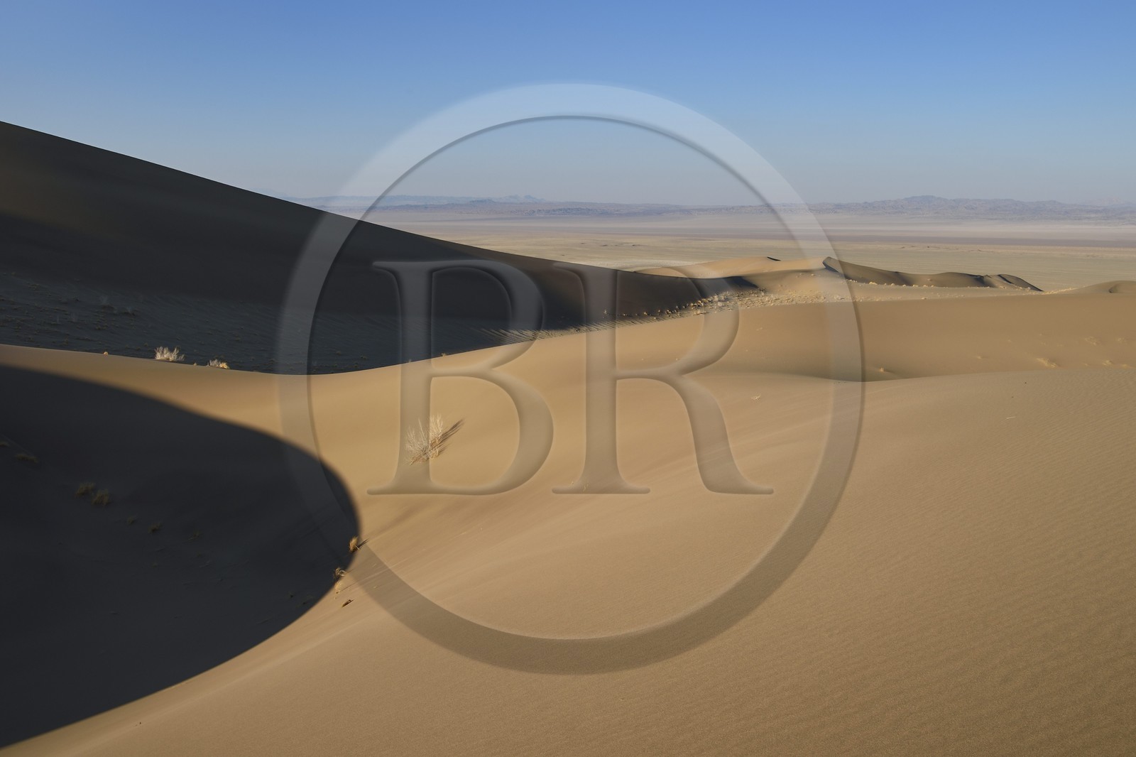 Iran, Province de Yazd, désert du Dasht-e Kavir, Moghestan, massif dunaire dont la plus haute dune atteint les 200 mètres