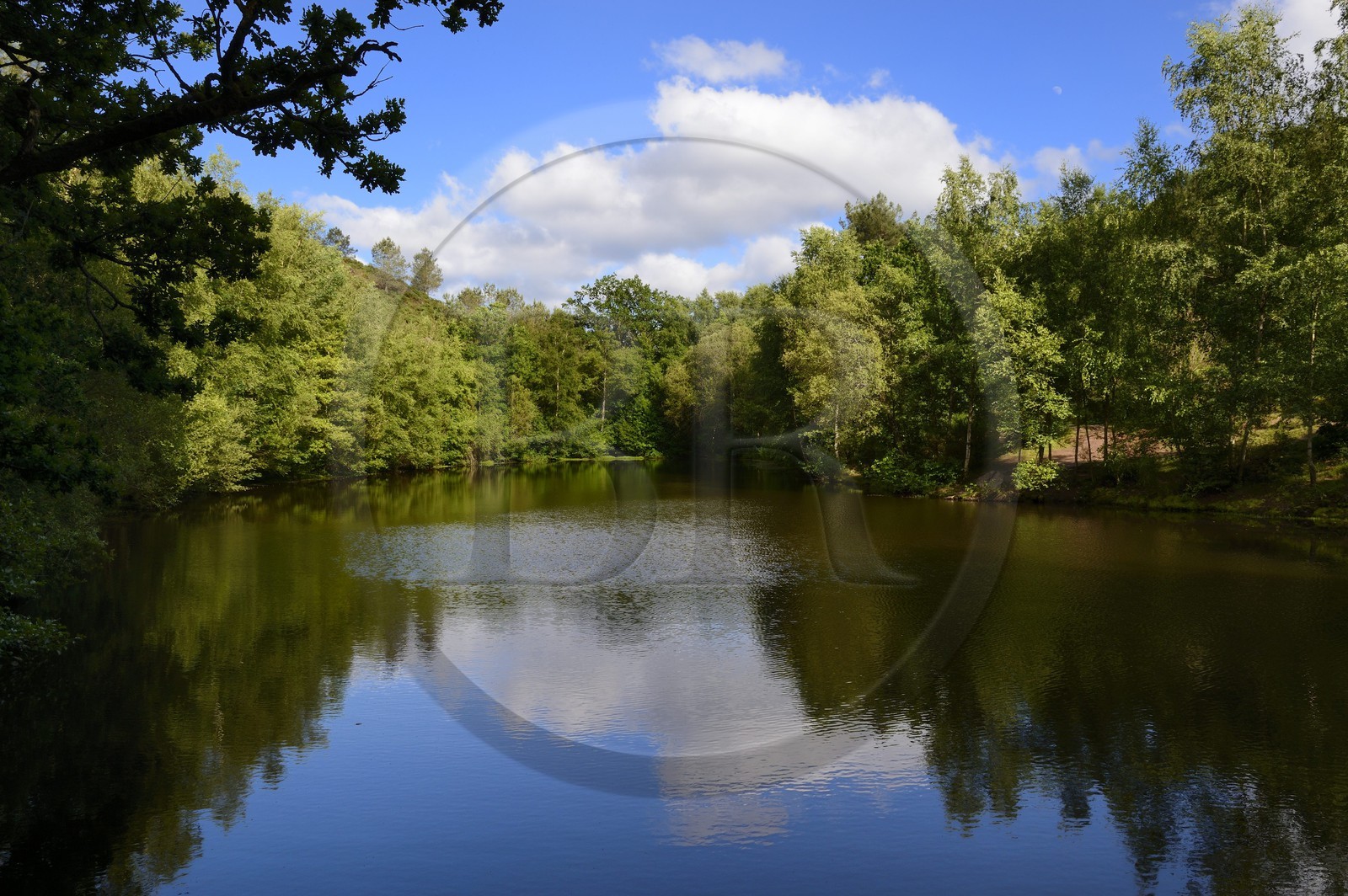 France, Morbihan (56), forêt de Brocéliande, Tréhorenteuc, la Mare aux Fées du Val sans Retour où selon la légende la Fée Morgane retenait ses amants infidèles