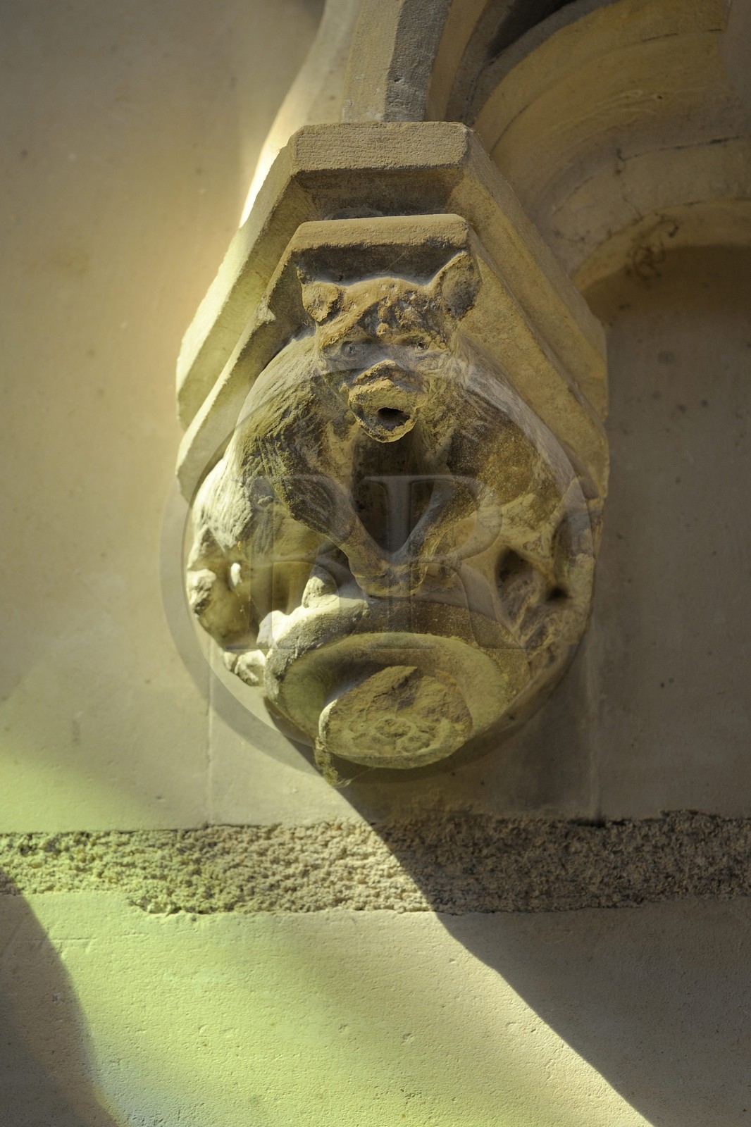 France, Indre et Loire (37), Vallée de la Loire classée Patrimoine mondial de l'UNESCO, château d'Amboise, la chapelle Saint-Hubert (1491)