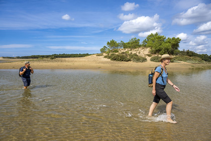 France, Vendée (85), Talmont-Saint-Hilaire, la Pointe du Payré, traversée de l'embouchure du Payré à marée basse par des randonneurs