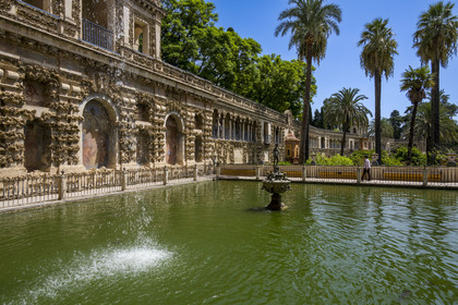 Espagne, Andalousie, Séville, Alcazar de Séville (Reales Alcazares de Sevilla), classé Patrimoine Mondial de l'UNESCO, les jardins et le Palacio Gotico, fontaine de Mercure