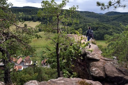 France, Bas Rhin, Northern Vosges Regional Natural Park, Obersteinbach, the sandstone rock of Wachtfels overlooking the village