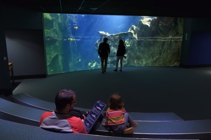 France, Charente-Maritime (17), La Rochelle, Aquarium La Rochelle, Mention obligatoire, le bassin des requins