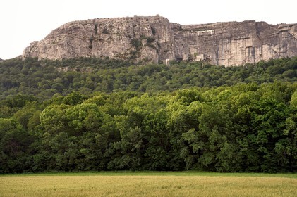 France, Var, Plan d'Aups Sainte Baume, Sainte-Baume Regional Nature Park, Sainte-Baume Massif, the national forest has been protected for several centuries, in the background the cave sanctuary of Sainte Marie-Madeleine on the side of the 300m cliff directly above the Saint-Pilon