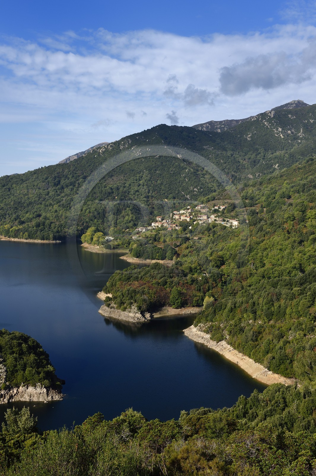 France, Corse-du-Sud (2A), Vallée du Prunelli, village de Tolla au bord du lac artificiel de Tolla depuis le col de la Scalledda