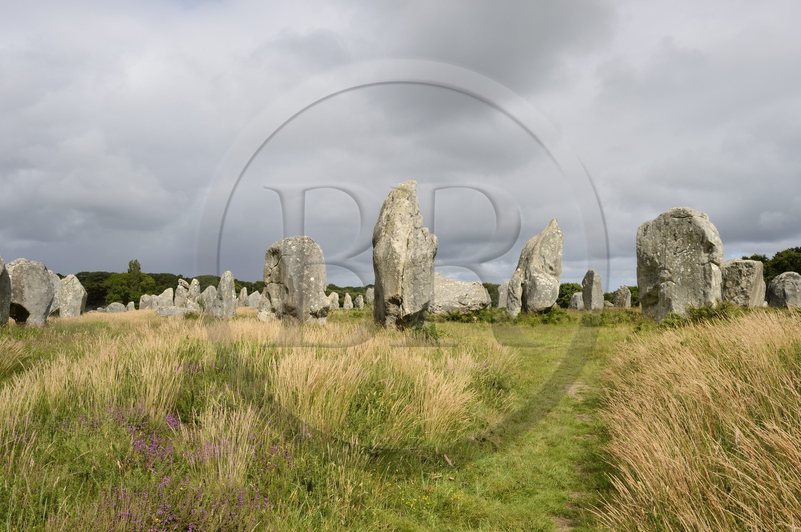 France, Morbihan (56), Carnac, alignement mégalithique de Kermario
