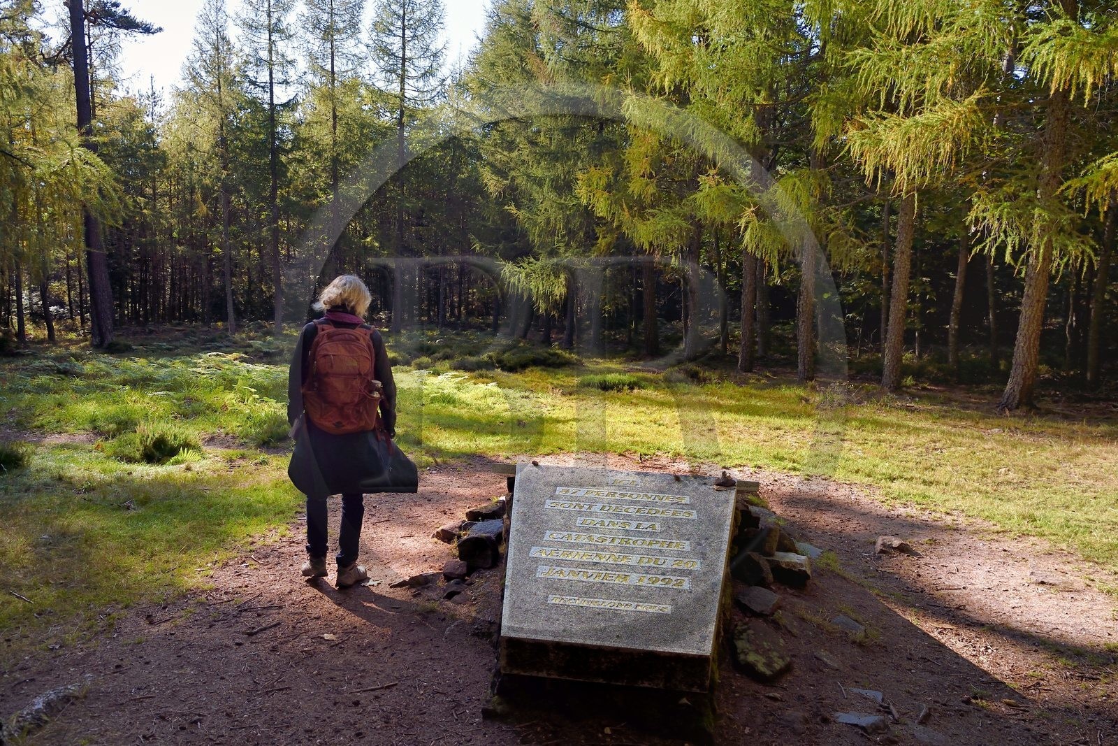 France, Bas-Rhin (67), Ottrott, Mont Sainte-Odile, plaque commémorative sur le site du crash de l'Airbus A320 le 20 janvier 1992 faisant 87 morts sur les hauteurs de La Bloss
