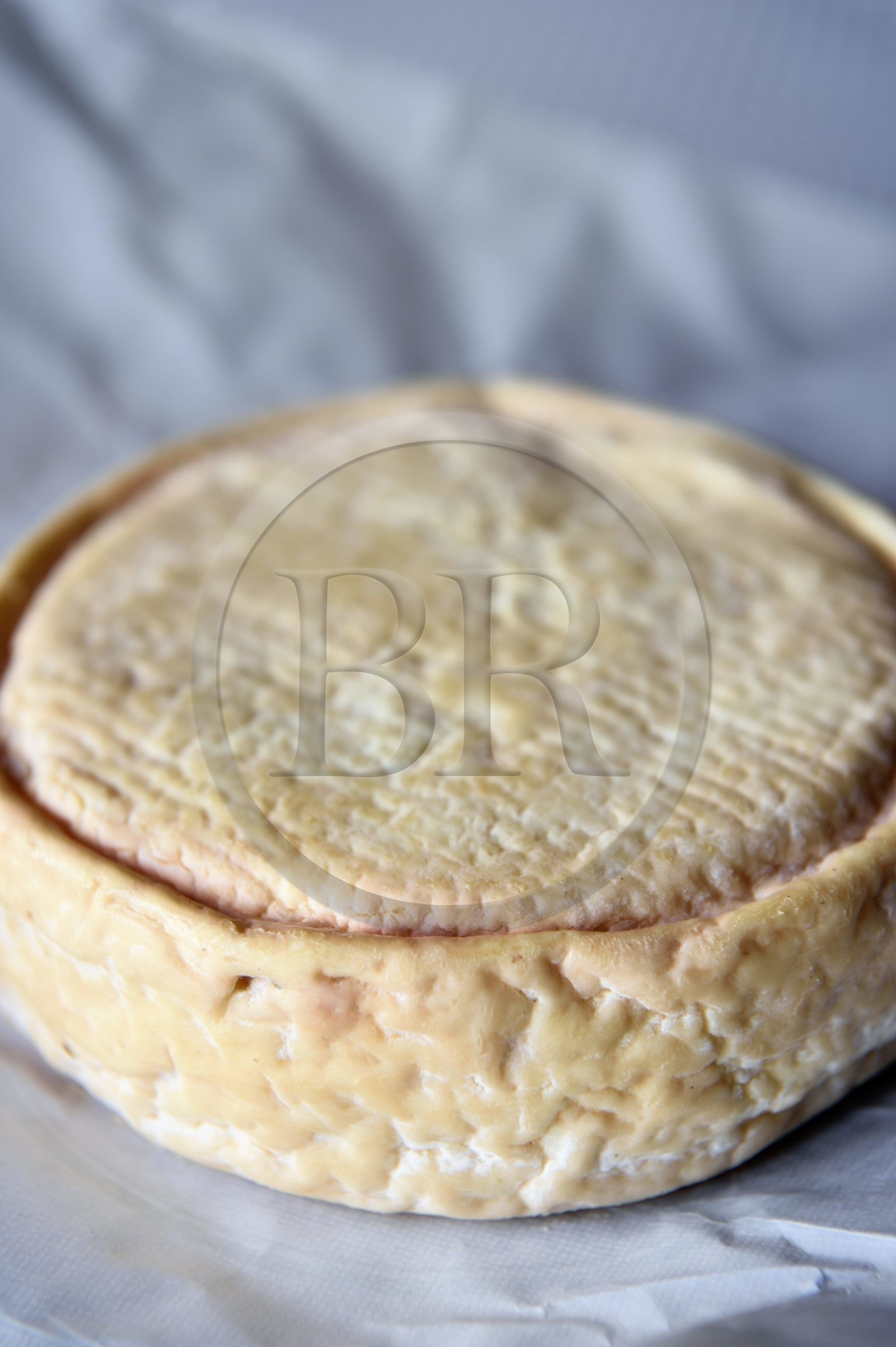 France, Haut Rhin, Wasserbourg, Ferme-auberge (farm-inn) Buchwald, munster AOP (cow's milk) produced by marcaire Michel Wehrey