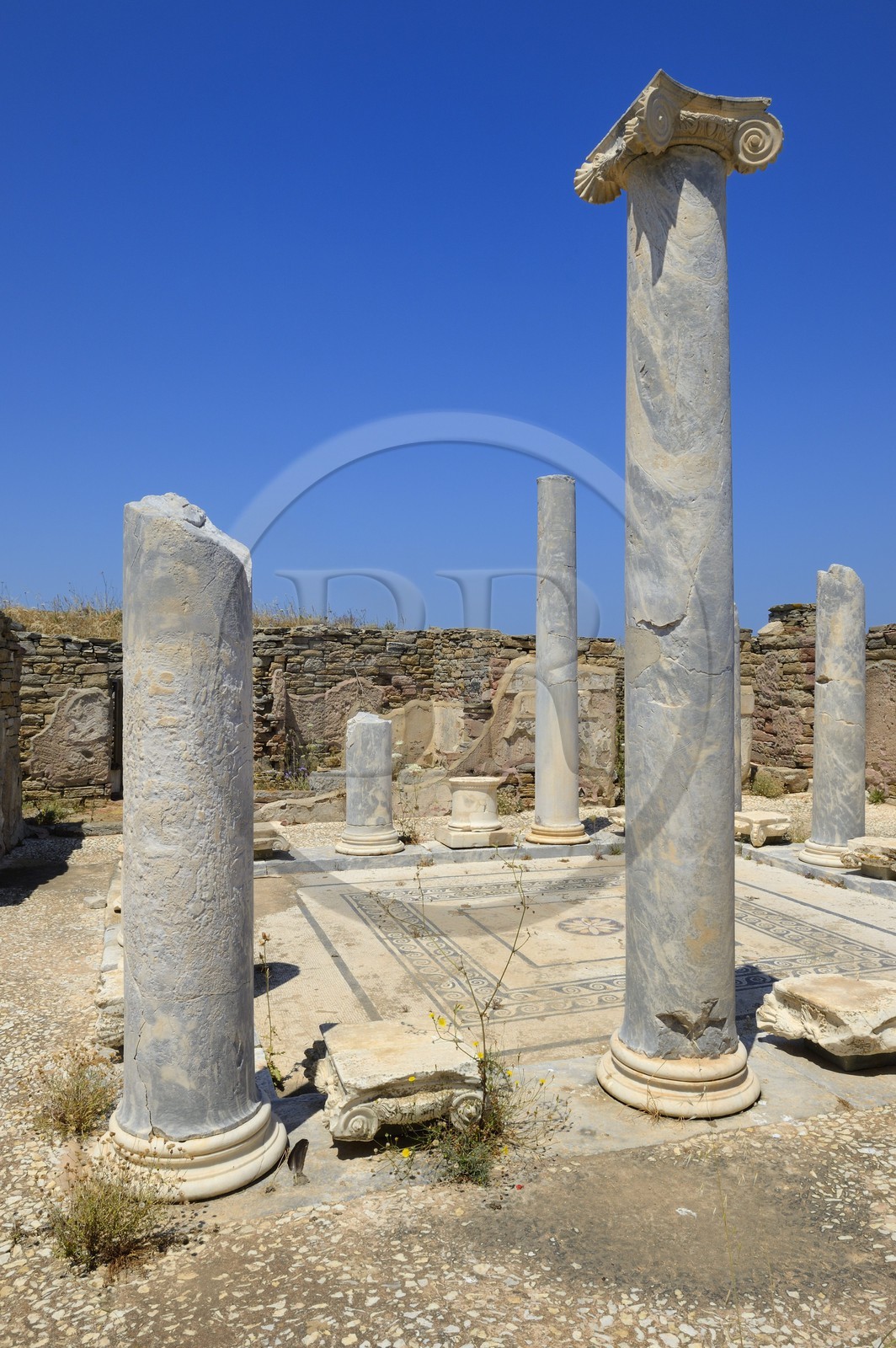Grèce, île de Delos, classée Patrimoine Mondial de l'UNESCO, site archéologique de Délos, sanctuaire d'Apollon, la plus grande cité antique de la mer Egée, la maison du lac