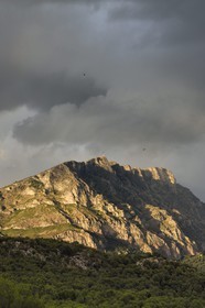 France, Bouches-du-Rhône (13), Pays d'Aix en Provence, vers le Tholonet, la Montagne Sainte Victoire, route Cézanne