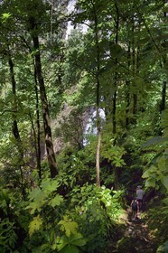 Caribbean, Dominica Island, Morne Trois Pitons National Park listed as World heritage by UNESCO, hike into the heart of the rainforest towards the Middleham Falls, Waitukubuli hiking trail that crosses the island