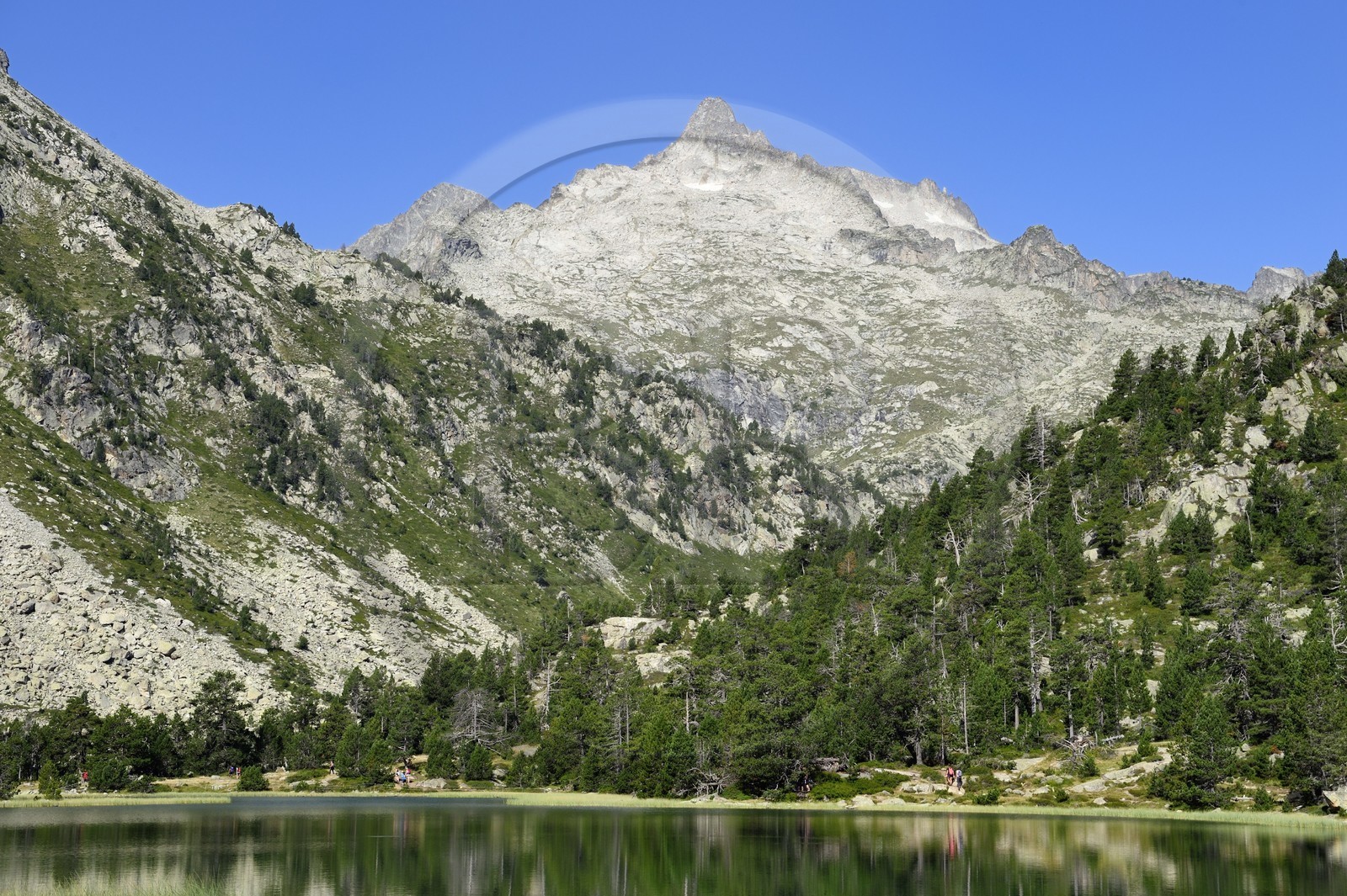 France, Hautes-Pyrénées (65), Saint-Lary-Soulan, Réserve naturelle nationale du Néouvielle, randonnée des lacs du Neouvielle, les Laquettes