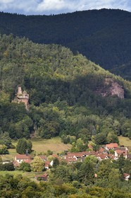 France, Bas Rhin, Northern Vosges Regional Natural Park, Obersteinbach, Klein Arnsberg Castle ruins overlooking the village and the Catholic Church