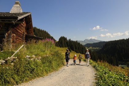 Switzerland, Canton of Vaud, Villars sur Ollon, hamlet of Bretaye