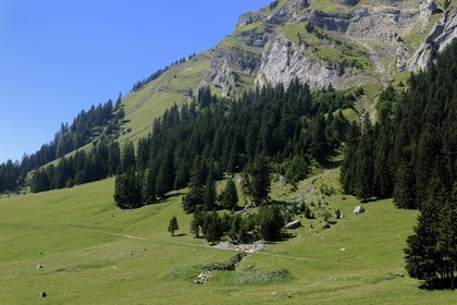 Switzerland, canton of Vaud, Villars-sur-Ollon, Solalex valley in the Muverans natural park
