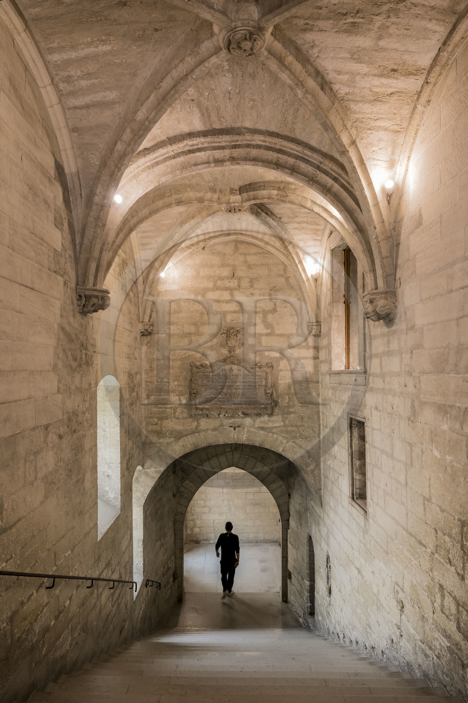 France, Vaucluse (84), Avignon, Palais des Papes classé Patrimoine mondial de l'UNESCO, l'escalier d'Honneur qui monte à la Grande Chapelle