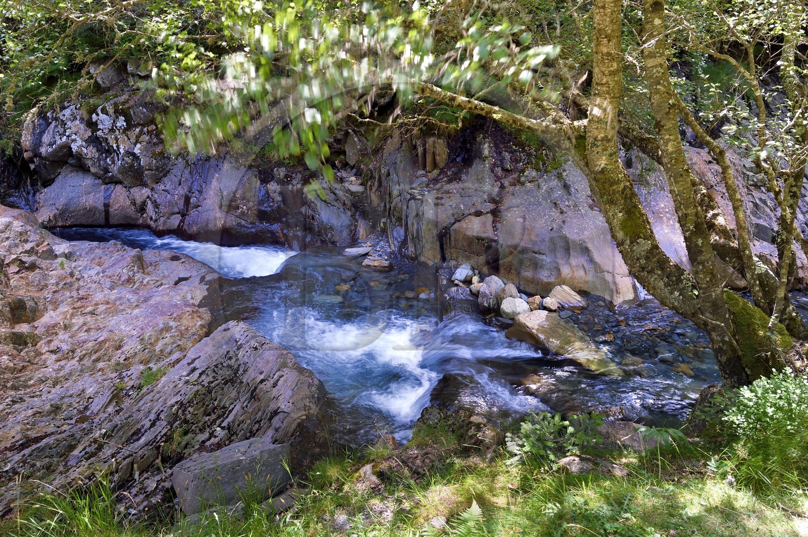 France, Hautes-Pyrénées (65), Saint-Lary-Soulan, vallée du Rioumajou, la (rivière) Neste de Rioumajou