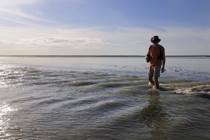 France, Manche, crossing by walking of the Bay of Mont Saint Michel, listed as World Heritage by UNESCO
