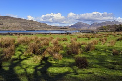 Royaume-Uni, Ecosse, Highland, Hébrides intérieures, Ile d'Ulva proche de la cote ouest de l'Ile de Mull (en arrière plan)