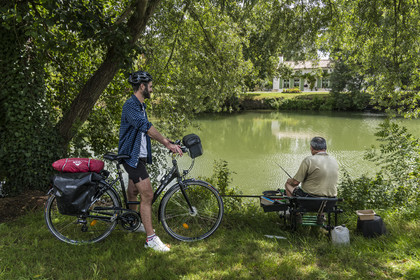 France, Deux-Sèvres (79), le Marais Poitevin, la Venise Verte, Le Mazeau, randonnée à bicyclette le long de la Sèvre Niortaise sur la voie cyclable de la Vélo Francette