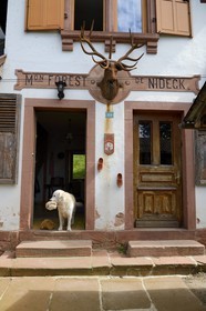 France, Bas-Rhin (67), entre Wangenbourg-Engenthal et Oberhaslach, la maison forestière du Nideck