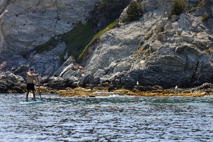 France, Var, Six Fours les Plages, Ile des Embiez, Pointe du Coucoussa, Freestyle windsurfing champion Adrien Bosson on a paddle boarding excursion