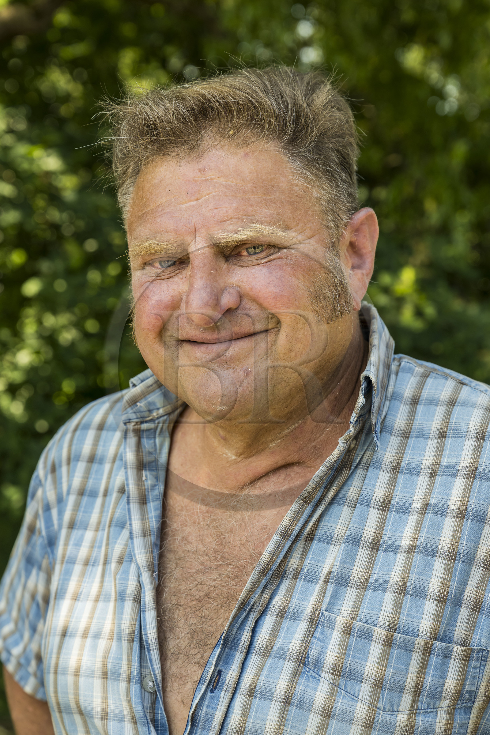 France, Morbihan (56), Locoal-Mendon, le sculpteur et tailleur de pierre Gueho Patrick