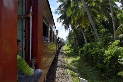 Sri Lanka, Province du Sud, train de Colombo à Galle vers Madampagama