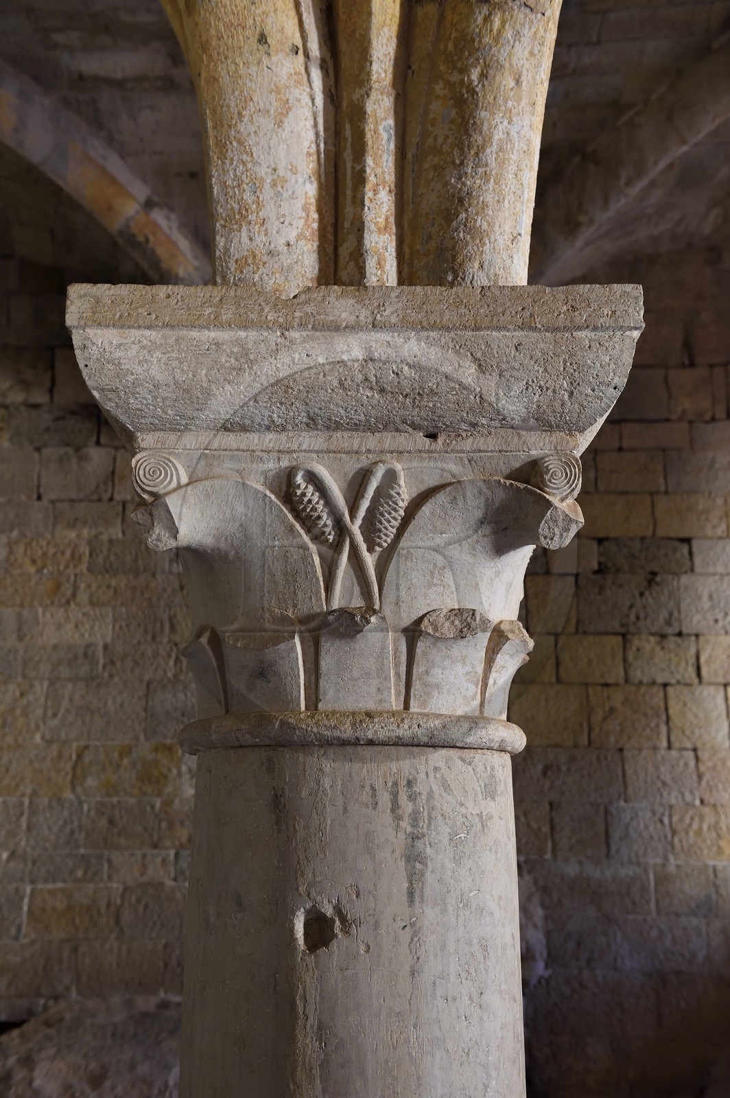 France, Var (83), Abbaye cistercienne du Thoronet, la salle capitulaire du cloitre