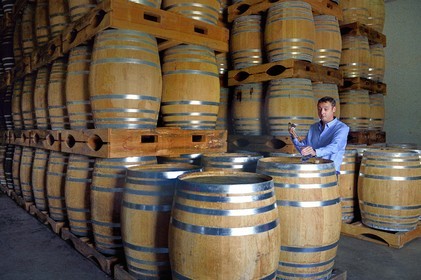 France, Ile de la Reunion, Saint Pierre, domaine de la distillerie Isautier, vieillissement des rhums vieux dans les chais entre 6 et 14 mois en futs neufs puis plusieurs années ensuite par lot en futs roux, Cyril Isautier directeur de la branche rhums et punchs du groupe Isautier fait un prélèvement à la pipette pour une dégustation